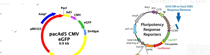 <em>HJ0205P</em>  Juvi 病毒纯化<em>试剂盒</em>