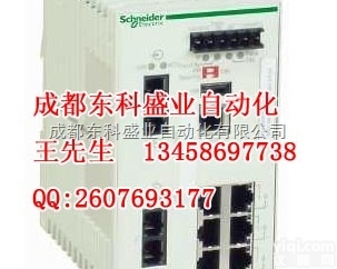 <em>TCSESM163F2CS0</em>  <em>TCSESM163F2CS0</em> <em>施耐德</em>TCS