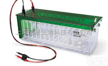 <em>Criterion</em> Dodeca 高<em>通量</em><em>电泳槽</em>