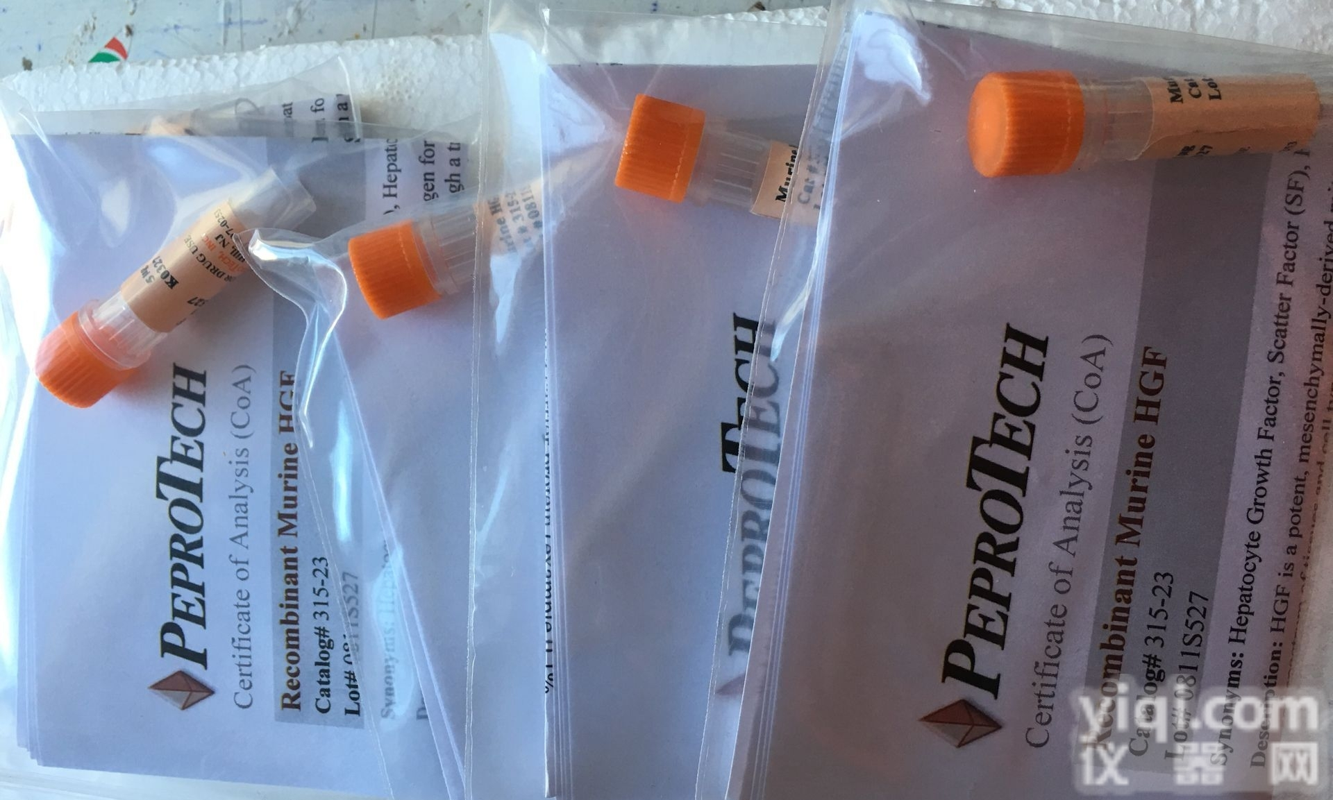 315-05<em>重组</em>小鼠<em>干扰素</em>细胞<em>因子</em>Recombinant Murine...