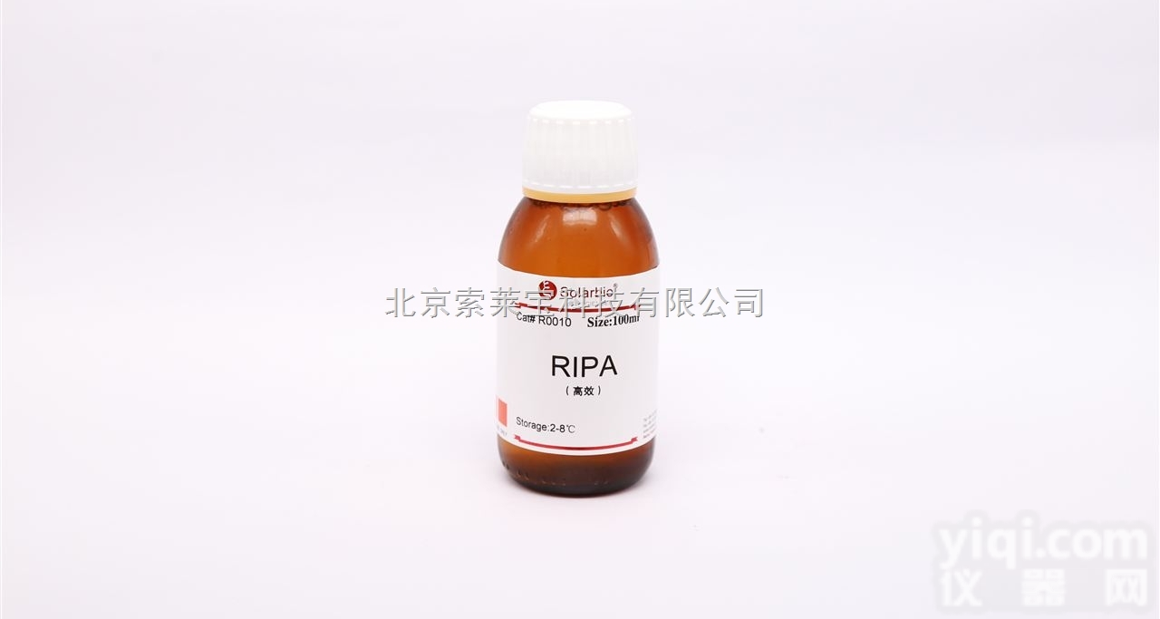 R0010  蛋白<em>提取</em>GXRIPA<em>组织</em>/细胞快速裂解液