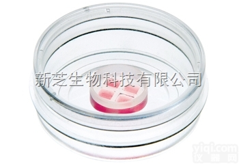 易必迪ibidi  伤口<em>愈合</em>3孔<em>插件</em>/<em>培养皿</em>－80366 80369