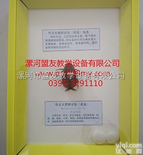 <em>昆虫</em><em>标本</em>  <em>昆虫</em><em>标本</em>-图为华北大黑鳃金龟