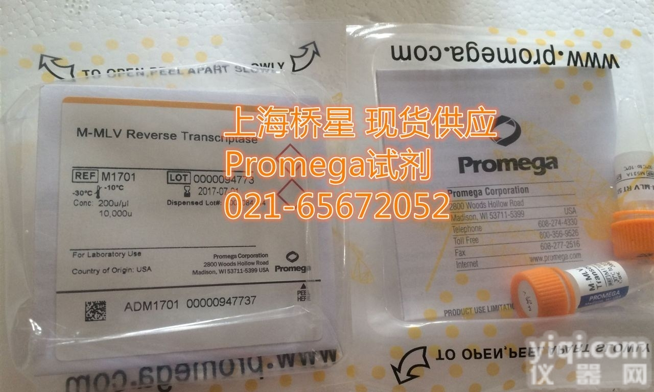 M4215 T4 DNA <em>Polymerase</em> <em>Promega</em>试剂