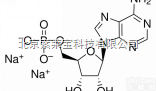 SA9510  <em>标准品</em>5-单<em>磷酸</em>腺苷二钠