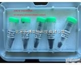 gtma-20  <em>现货</em>GFP-Trap, <em>coupled</em> to magnetic aga...