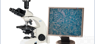 UB100i-D  UB100i-D系列暗场生物<em>显微镜</em>-18511901105尚<em>金平</em>