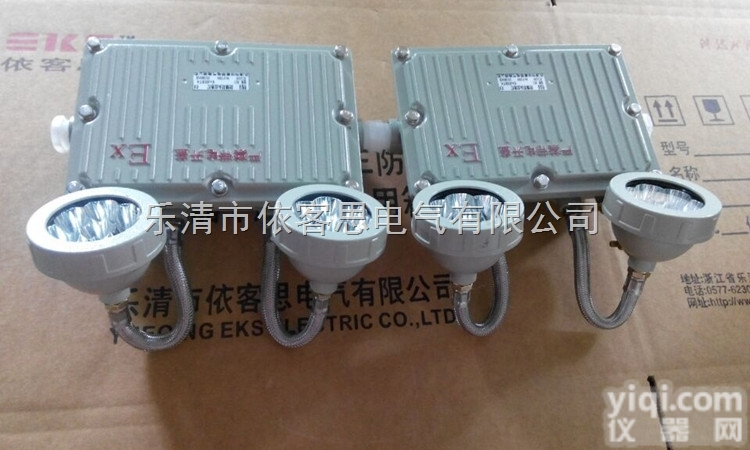 BAJ52<em>防爆</em><em>双头</em><em>应急灯</em>2*20W<em>双头</em>挂式应急照明灯