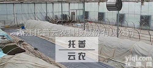 <em>农产品</em>窖藏监测预警管理系统为大白菜<em>保鲜</em>