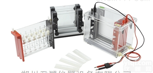 JY-<em>SX</em>3型 <em>双向电泳</em>槽