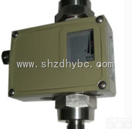 <em>CPK-500 高耐压差压控制器</em>