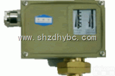 电池供电压力表