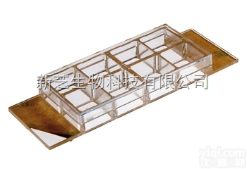 <em>德国</em>IBIDI易必迪  µ-Slide 8孔腔室<em>载玻片</em>无<em>包被</em> 80821