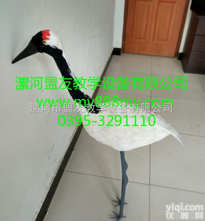 <em>仿真</em>标本  <em>仿真</em>标本-图为<em>仿真</em>丹顶鹤