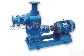 50<em>ZW</em>20-<em>12</em>  <em>ZW</em>污水式自吸泵