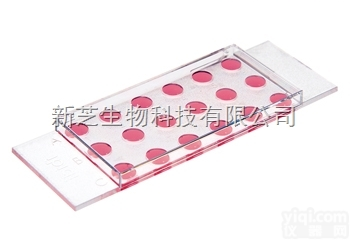 <em>德国</em>IBIDI易必迪  µ-Slide18孔培养<em>载玻片</em>ibiTreat<em>底部</em>处理