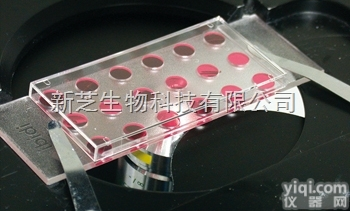德国IBIDI81824  µ-Slide 18孔培养<em>载玻片</em>底部<em>处理</em>