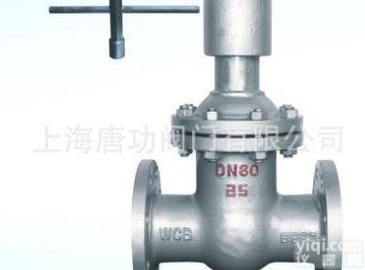 FDZ45H-16C  唐功阀门FDZ45H-16C防盗<em>闸阀</em> <em>锁闭</em>阀 零外漏<em>磁性</em>自锁<em>闸阀</em>