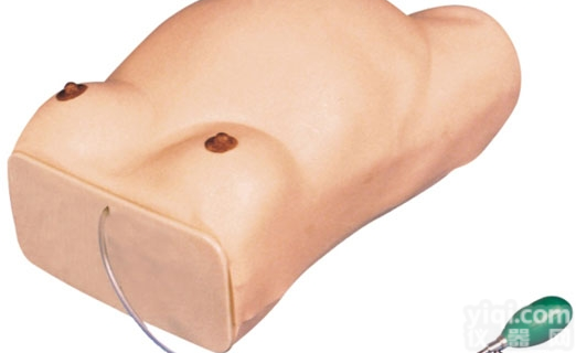 KAJ/W2  电脑<em>孕妇</em>检查<em>模型</em>  电子<em>孕妇</em>腹部触诊<em>模型</em>