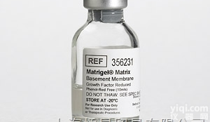 356235 BD Matrige<em>基底</em>膜<em>基质</em> BD BIOCOAT<em>现货</em>