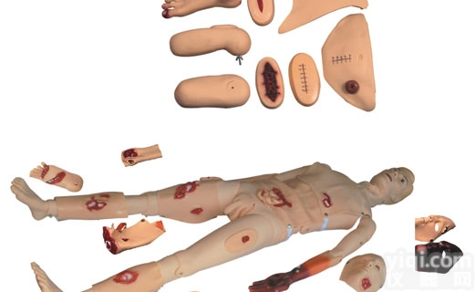 KAJ/D111  全<em>功能</em>创伤<em>模型</em>  全<em>功能</em>创伤模拟人