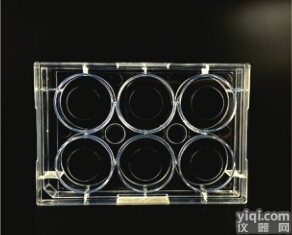 J10011  上海晶安J10011蛋白预<em>包被</em>器皿、Ι型胶原<em>包被</em>培养皿、<em>多聚</em><em>赖氨酸</em><em>包被</em>