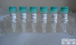 <em>Anti</em>-Casein Kappa （COPS3）<em>抗体</em>，K-<em>酪蛋白</em><em>抗体</em>