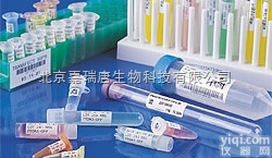 耐低温<em>标签</em> <em>液氮</em>中 -80度冰箱