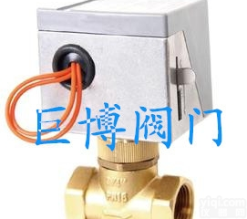 <em>VA7010  VA7010电动二通阀</em>
