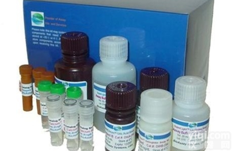 单道<em>定时钟</em>  单道<em>定时钟</em>