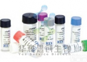 <em>重组</em>人/<em>小鼠</em>/大鼠激活素A