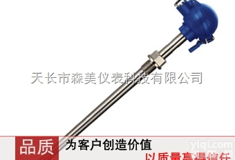 WRKKG WREKG-53N/63  固定螺纹<em>锥形</em>保护套管式<em>热电偶</em>、<em>热电阻</em>