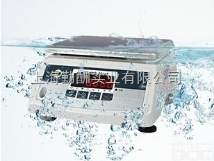 DWS  勤酬万分之一DWS双面<em>防水</em>秤 <em>高精度</em>国产<em>防水</em>桌称
