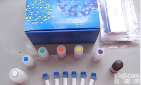 Bovine phosphoenolpyruvate carboxykinase,PCK ELIS  牛磷酸<em>烯醇</em>式<em>丙酮酸</em>羧<em>激酶</em>(PCK)ELISA试剂盒