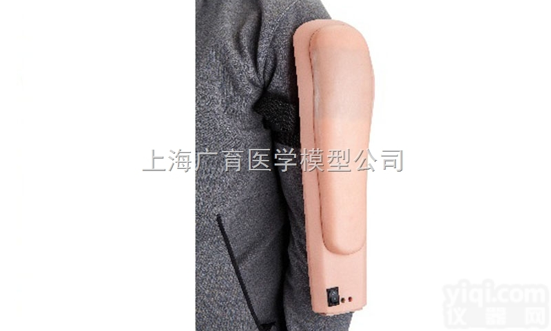 ZKD/S6  <em>高级电子上臂肌肉注射训练模型</em>