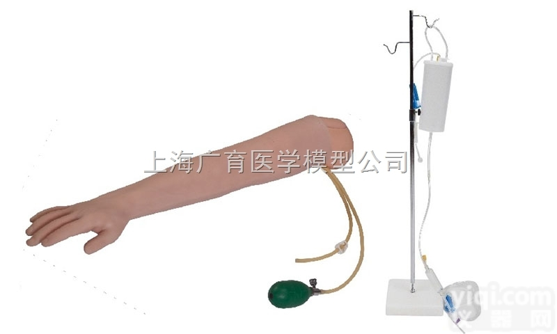 S3  高级手臂<em>动脉</em><em>穿刺</em>及肌肉<em>注射</em>训练模型