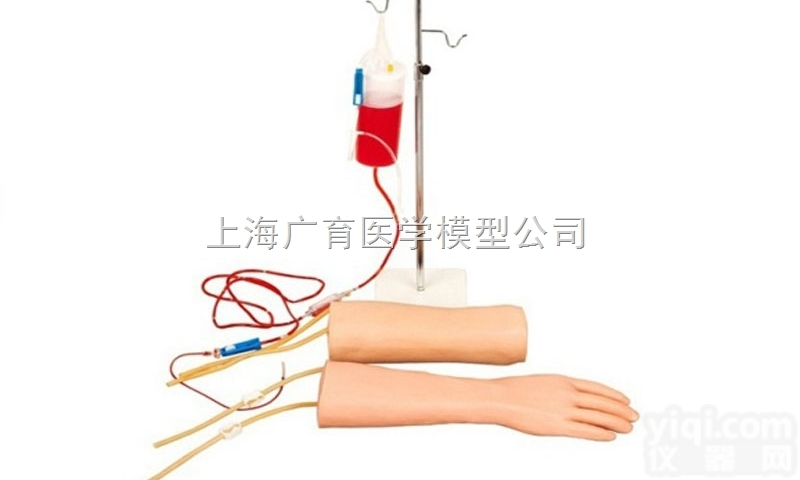 <em>手部</em><em>肘部</em><em>组合式</em>静脉输液训练模型