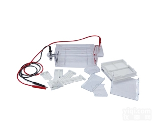 650mlDYCP-31DN琼脂糖水平<em>电泳</em>槽<em>北京</em>六一<em>电泳</em>仪<em>价格</em>