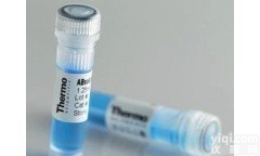 <em>CAS</em>号:50-<em>32</em>-8  <em>苯并芘</em>/苯并a芘/3,4-<em>苯并芘</em>