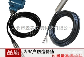 WP311 <em> 扩散硅投入式液位变送器</em>（静压式液位变送器）
