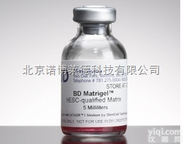 BD <em>Biocoat</em> 356237 Matrigel基底膜<em>基质</em>  无酚...