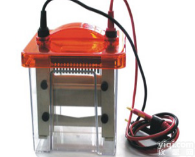 迷你垂直<em>电泳</em>仪  迷你垂直<em>电泳</em>仪<em>北京</em>六一<em>电泳</em>仪价格