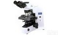 BX41系列  <em>奥林巴斯</em><em>生物</em><em>显微镜</em>/<em>奥林巴斯</em>BX41系列<em>显微镜</em>/现货低价BX41