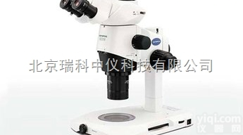 <em>奥林巴斯</em>szx16体视<em>显微</em>镜<em>成像</em>效果