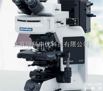 奥林巴斯BX53研究级全功能正置生物<em>显微镜</em>偏光<em>成像</em>