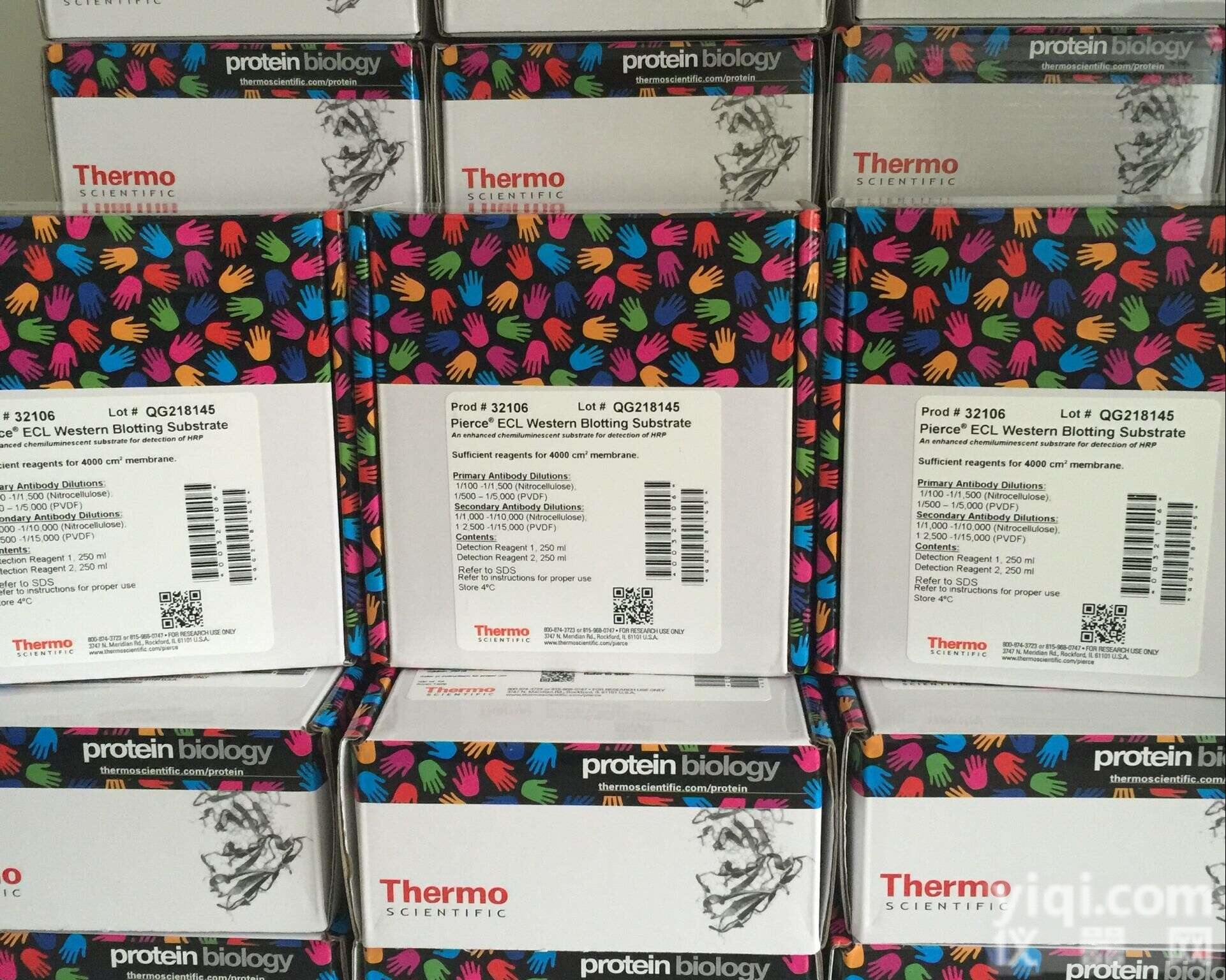 ECL免疫<em>印迹</em>底物Pierce32106<em>现货供应</em>