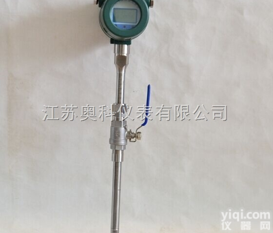 <em>热式气体质量流量表</em>