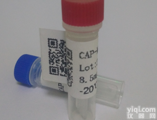 <em>猪瘟</em>E2蛋白抗原/抗<em>猪瘟</em>单克隆<em>抗体</em>