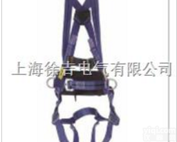 双挂点全身式<em>安全带</em>，配有定位<em>腰带</em>