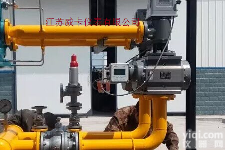 DN15-<em>300</em>  <em>天然气</em>流量表  <em>天然气</em>流量计 厂家